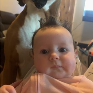 Meet your Posher, Avery